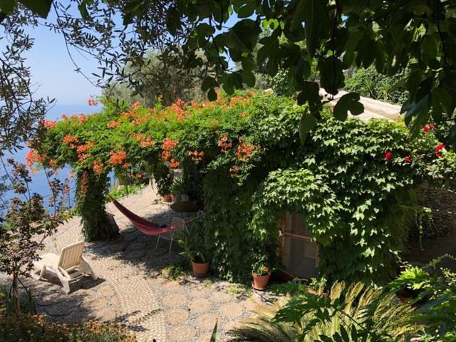 Secret Garden In Nocelle Villa Positano Exterior photo